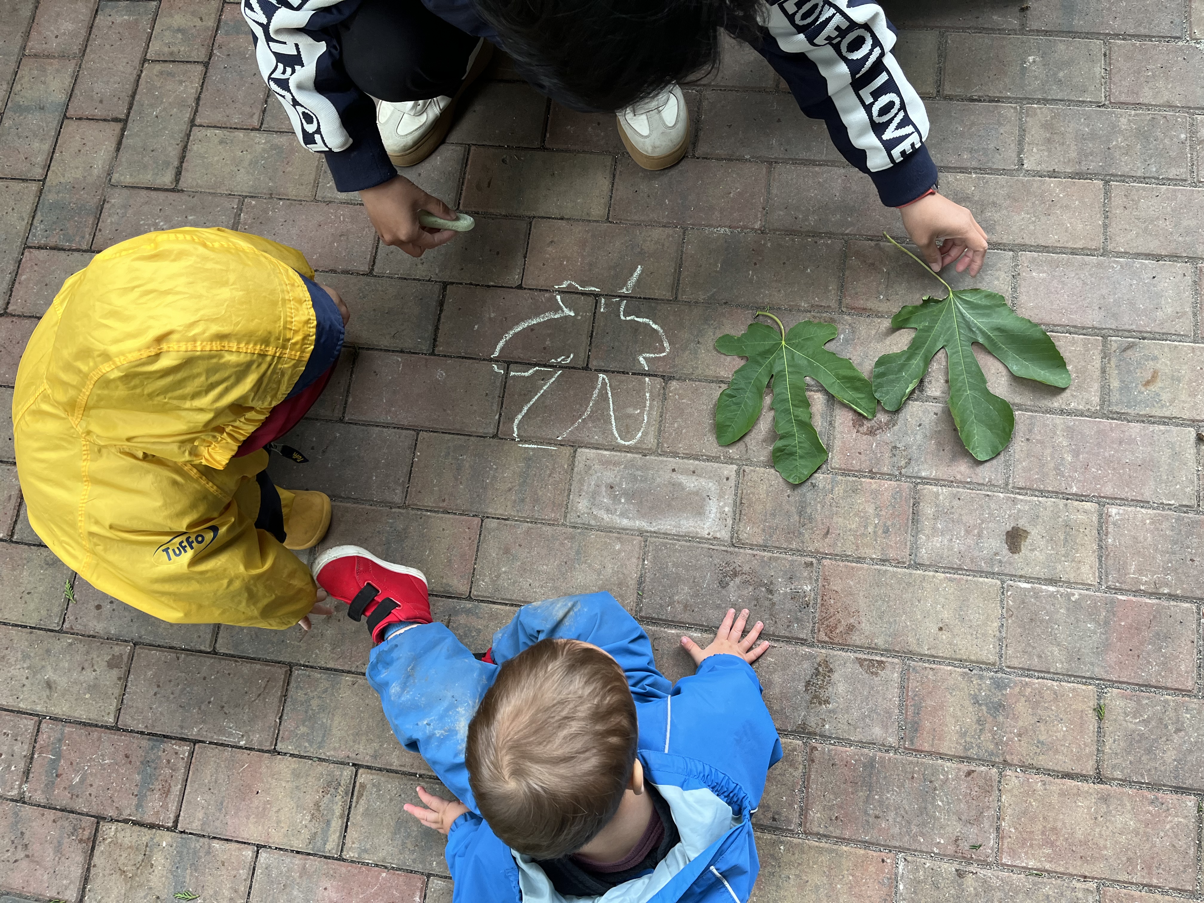 Children exploring and having fun in nature at Forest Cubs Childcare